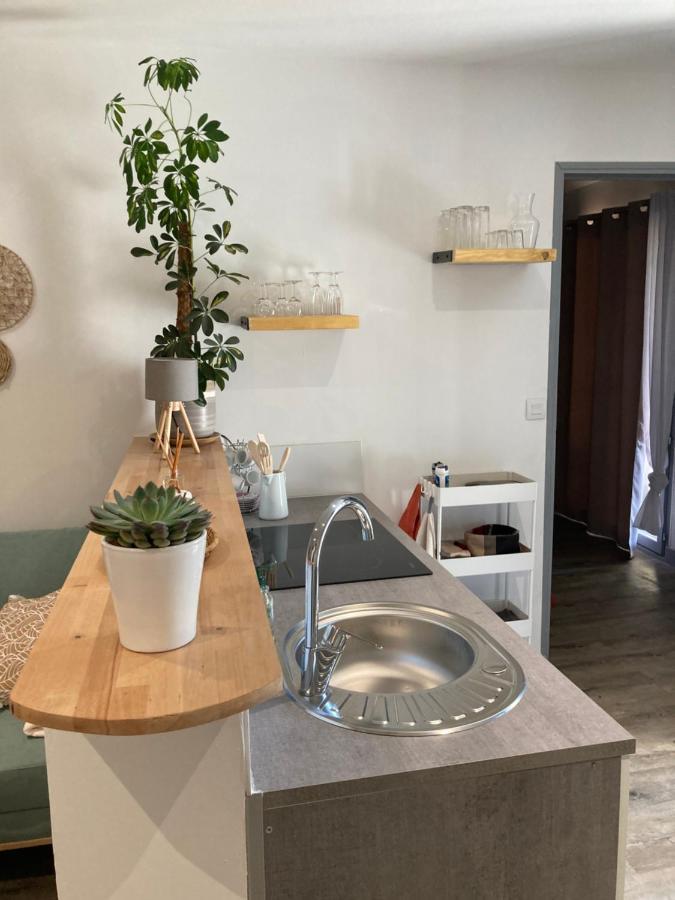 Bienvenue Chez Marie Pierre Apartment Oloron-Sainte-Marie Exterior photo